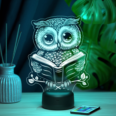 3D светильник  Светильник "Сова с книгой"