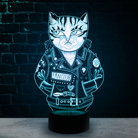 3D светильник  Кот в куртке